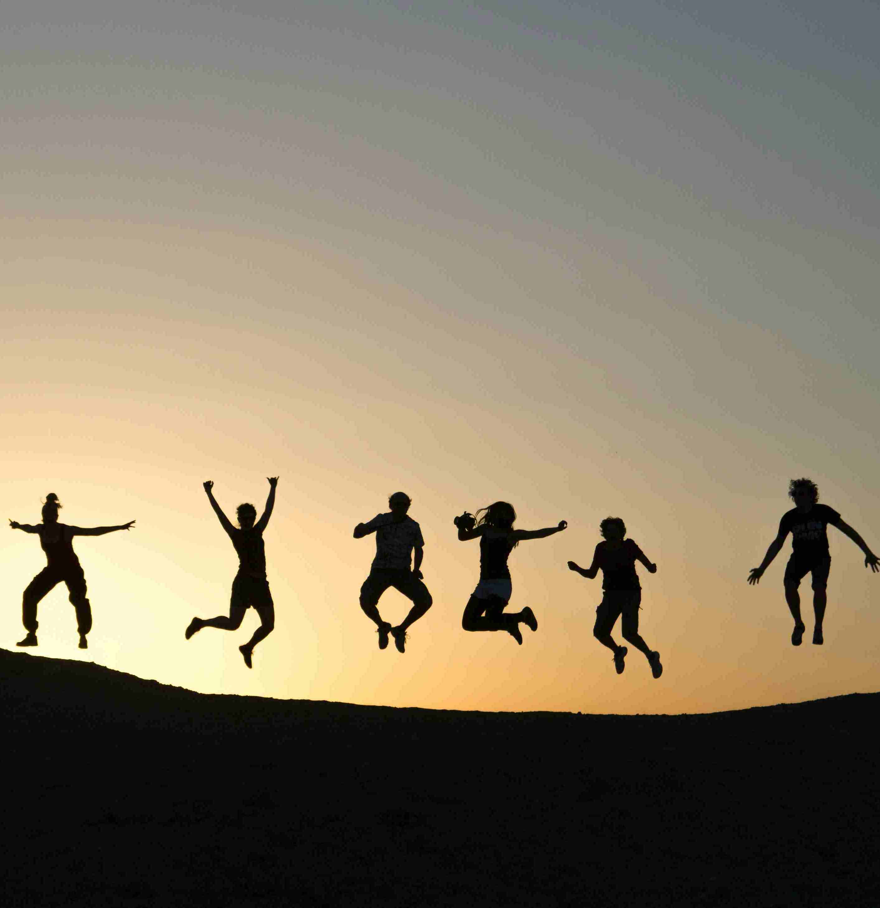 Corporate cholesterol